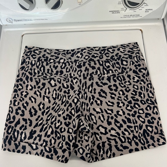 Leopard Print Women's Shorts - Picture 2 of 3